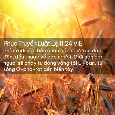 Picture 02 - Phục Truyền Luật Lệ 11:24 VIE - Phàm nơi nào bàn chân các ngươi sẽ - Bible Verse Picture