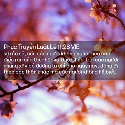 Picture 02 - Phục Truyền Luật Lệ 11:28 VIE - sự rủa sả, nếu các ngươi không nghe - Bible Verse Picture