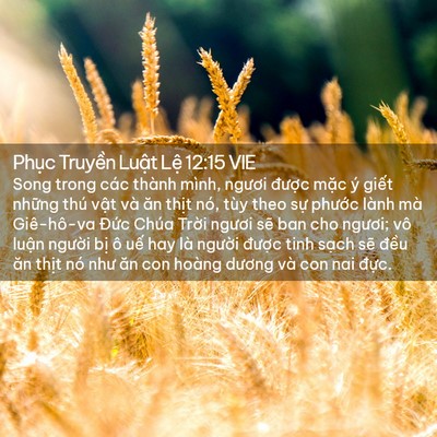 Picture 02 - Phục Truyền Luật Lệ 12:15 VIE - Song trong các thành mình, ngươi được - Bible Verse Picture
