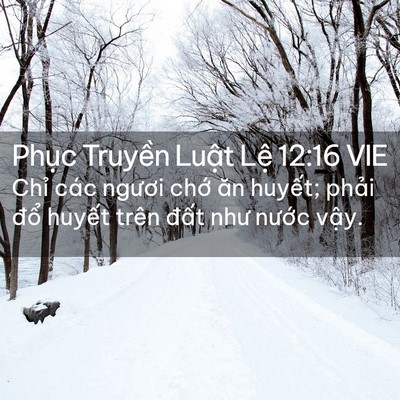 Picture 02 - Phục Truyền Luật Lệ 12:16 VIE - Chỉ các ngươi chớ ăn huyết; phải - Bible Verse Picture