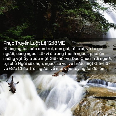Picture 02 - Phục Truyền Luật Lệ 12:18 VIE - Nhưng ngươi, các con trai, con gái, tôi - Bible Verse Picture