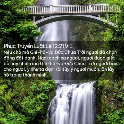 Picture 02 - Phục Truyền Luật Lệ 12:21 VIE - Nếu chỗ mà Giê-hô-va Đức Chúa Trời - Bible Verse Picture