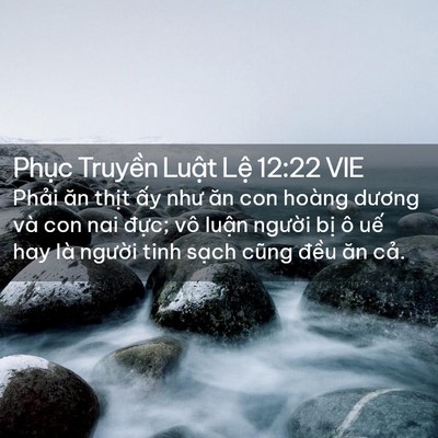 Picture 02 - Phục Truyền Luật Lệ 12:22 VIE - Phải ăn thịt ấy như ăn con hoàng - Bible Verse Picture