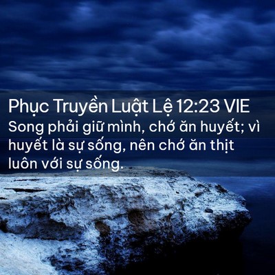 Picture 02 - Phục Truyền Luật Lệ 12:23 VIE - Song phải giữ mình, chớ ăn huyết; vì - Bible Verse Picture