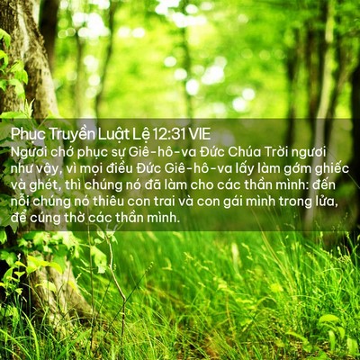 Picture 02 - Phục Truyền Luật Lệ 12:31 VIE - Ngươi chớ phục sự Giê-hô-va Đức - Bible Verse Picture
