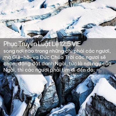 Picture 02 - Phục Truyền Luật Lệ 12:5 VIE - song nơi nào trong những chi phái các - Bible Verse Picture