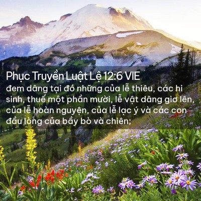 Picture 02 - Phục Truyền Luật Lệ 12:6 VIE - đem dâng tại đó những của lễ thiêu, - Bible Verse Picture
