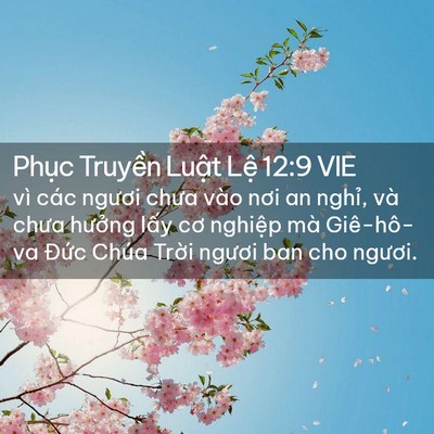 Picture 02 - Phục Truyền Luật Lệ 12:9 VIE - vì các ngươi chưa vào nơi an nghỉ, và - Bible Verse Picture