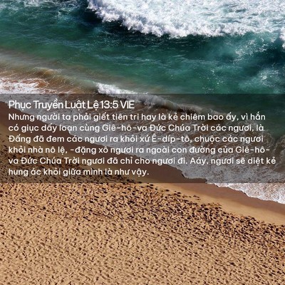 Picture 02 - Phục Truyền Luật Lệ 13:5 VIE - Nhưng người ta phải giết tiên tri hay - Bible Verse Picture