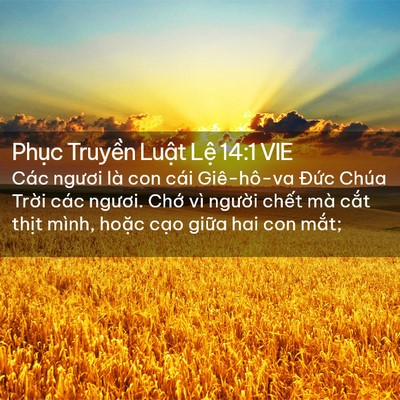 Picture 02 - Phục Truyền Luật Lệ 14:1 VIE - Các ngươi là con cái Giê-hô-va Đức - Bible Verse Picture
