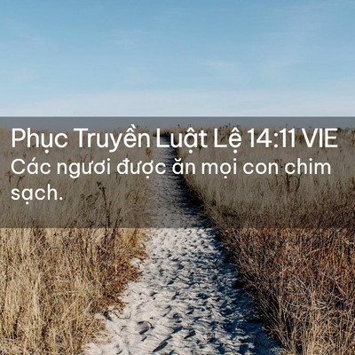 Picture 02 - Phục Truyền Luật Lệ 14:11 VIE - Các ngươi được ăn mọi con chim - Bible Verse Picture