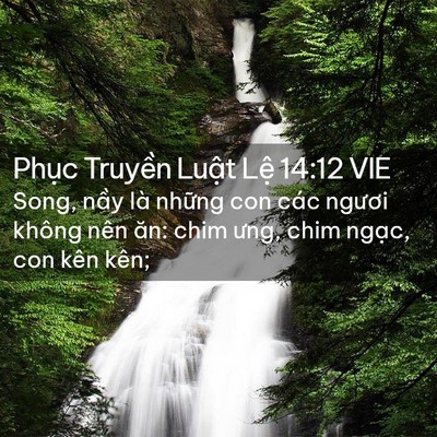 Picture 02 - Phục Truyền Luật Lệ 14:12 VIE - Song, nầy là những con các ngươi không - Bible Verse Picture