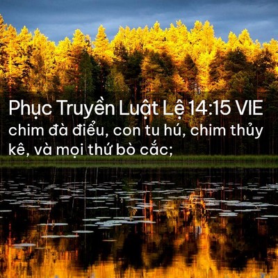 Picture 02 - Phục Truyền Luật Lệ 14:15 VIE - chim đà điểu, con tu hú, chim thủy kê, - Bible Verse Picture