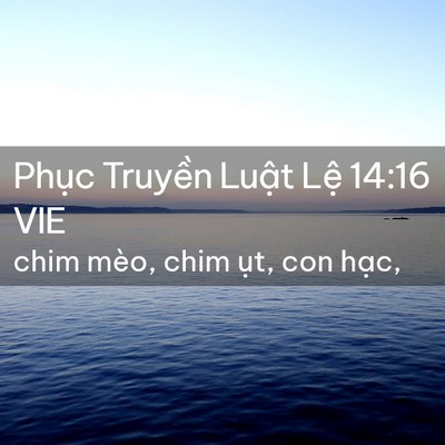 Picture 02 - Phục Truyền Luật Lệ 14:16 VIE - chim mèo, chim ụt, con - Bible Verse Picture