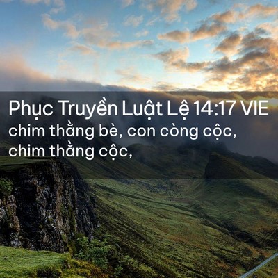Picture 02 - Phục Truyền Luật Lệ 14:17 VIE - chim thằng bè, con còng cộc, chim thằng - Bible Verse Picture