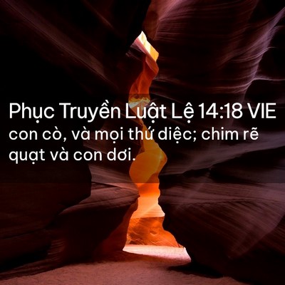 Picture 02 - Phục Truyền Luật Lệ 14:18 VIE - con cò, và mọi thứ diệc; chim rẽ quạt - Bible Verse Picture