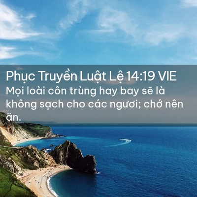 Picture 02 - Phục Truyền Luật Lệ 14:19 VIE - Mọi loài côn trùng hay bay sẽ là không - Bible Verse Picture