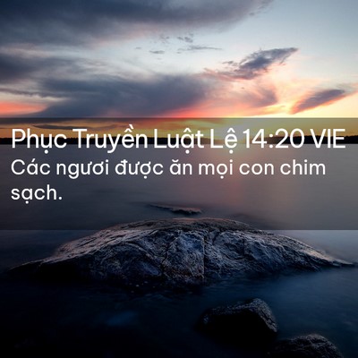 Picture 02 - Phục Truyền Luật Lệ 14:20 VIE - Các ngươi được ăn mọi con chim - Bible Verse Picture