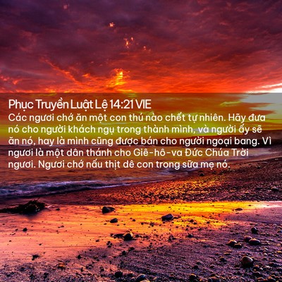 Picture 02 - Phục Truyền Luật Lệ 14:21 VIE - Các ngươi chớ ăn một con thú nào chết - Bible Verse Picture