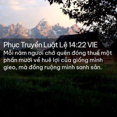 Picture 02 - Phục Truyền Luật Lệ 14:22 VIE - Mỗi năm ngươi chớ quên đóng thuế - Bible Verse Picture