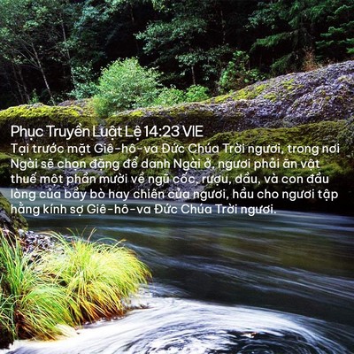 Picture 02 - Phục Truyền Luật Lệ 14:23 VIE - Tại trước mặt Giê-hô-va Đức Chúa - Bible Verse Picture
