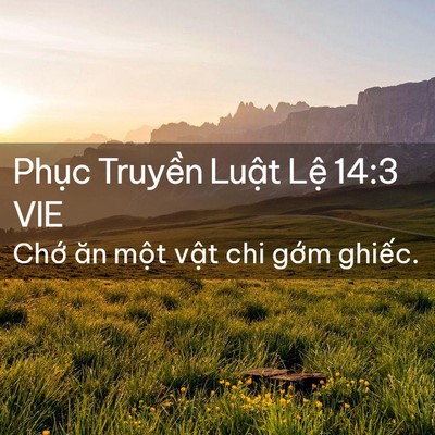 Picture 02 - Phục Truyền Luật Lệ 14:3 VIE - Chớ ăn một vật chi gớm - Bible Verse Picture