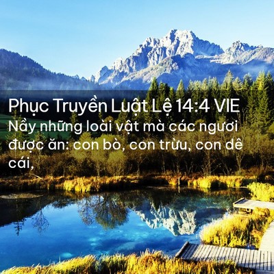 Picture 02 - Phục Truyền Luật Lệ 14:4 VIE - Nầy những loài vật mà các ngươi - Bible Verse Picture