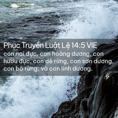Picture 02 - Phục Truyền Luật Lệ 14:5 VIE - con nai đực, con hoàng dương, con hươu - Bible Verse Picture