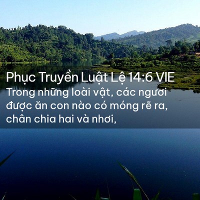 Picture 02 - Phục Truyền Luật Lệ 14:6 VIE - Trong những loài vật, các ngươi được - Bible Verse Picture