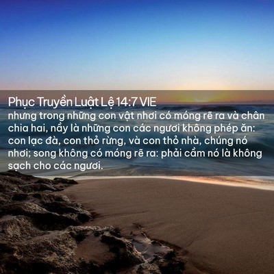 Picture 02 - Phục Truyền Luật Lệ 14:7 VIE - nhưng trong những con vật nhơi có móng - Bible Verse Picture