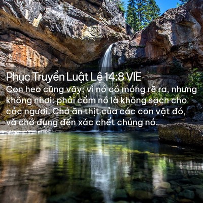 Picture 02 - Phục Truyền Luật Lệ 14:8 VIE - Con heo cũng vậy; vì nó có móng rẽ ra, - Bible Verse Picture