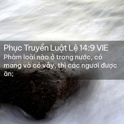 Picture 02 - Phục Truyền Luật Lệ 14:9 VIE - Phàm loài nào ở trong nước, có mang và - Bible Verse Picture