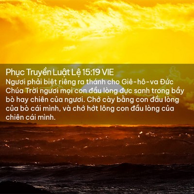 Picture 02 - Phục Truyền Luật Lệ 15:19 VIE - Ngươi phải biệt riêng ra thánh cho - Bible Verse Picture