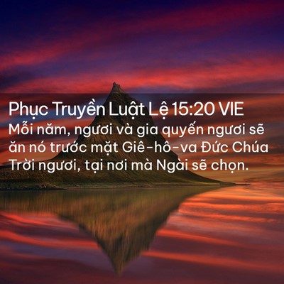 Picture 02 - Phục Truyền Luật Lệ 15:20 VIE - Mỗi năm, ngươi và gia quyến ngươi sẽ - Bible Verse Picture