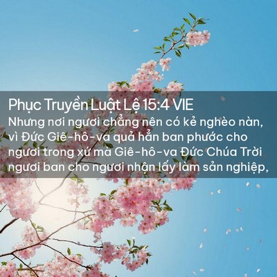 Picture 02 - Phục Truyền Luật Lệ 15:4 VIE - Nhưng nơi ngươi chẳng nên có kẻ nghèo - Bible Verse Picture