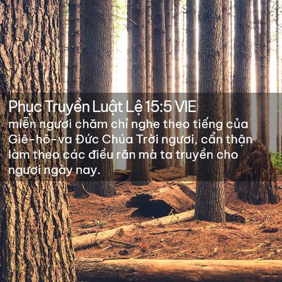 Picture 02 - Phục Truyền Luật Lệ 15:5 VIE - miễn ngươi chăm chỉ nghe theo tiếng - Bible Verse Picture