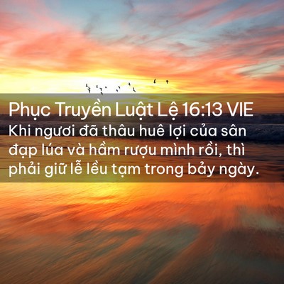 Picture 02 - Phục Truyền Luật Lệ 16:13 VIE - Khi ngươi đã thâu huê lợi của sân - Bible Verse Picture