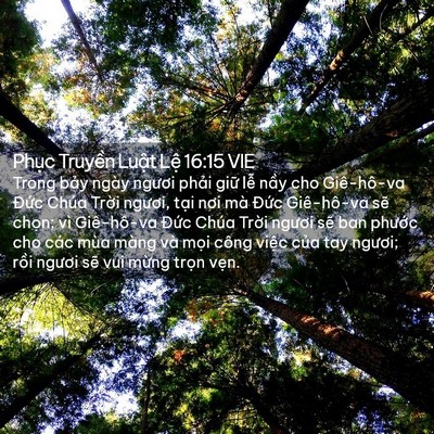 Picture 02 - Phục Truyền Luật Lệ 16:15 VIE - Trong bảy ngày ngươi phải giữ lễ nầy - Bible Verse Picture