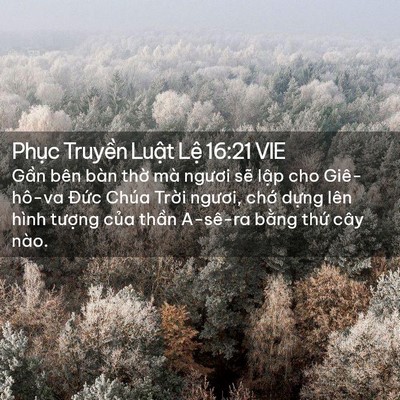 Picture 02 - Phục Truyền Luật Lệ 16:21 VIE - Gần bên bàn thờ mà ngươi sẽ lập cho - Bible Verse Picture
