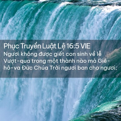 Picture 02 - Phục Truyền Luật Lệ 16:5 VIE - Ngươi không được giết con sinh về lễ - Bible Verse Picture