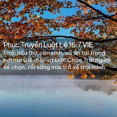 Picture 02 - Phục Truyền Luật Lệ 16:7 VIE - Phải nấu thịt con sinh, và ăn tại trong - Bible Verse Picture