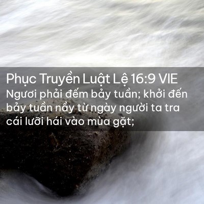Picture 02 - Phục Truyền Luật Lệ 16:9 VIE - Ngươi phải đếm bảy tuần; khởi đến - Bible Verse Picture