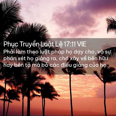 Picture 02 - Phục Truyền Luật Lệ 17:11 VIE - Phải làm theo luật pháp họ dạy cho, và - Bible Verse Picture