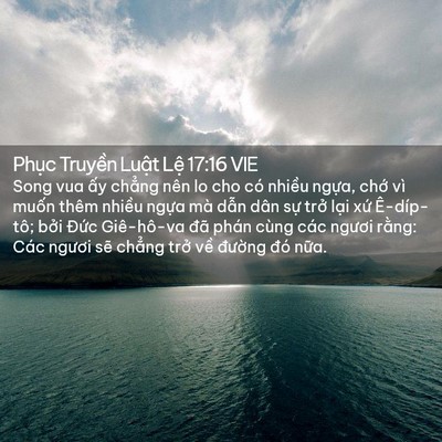 Picture 02 - Phục Truyền Luật Lệ 17:16 VIE - Song vua ấy chẳng nên lo cho có nhiều - Bible Verse Picture