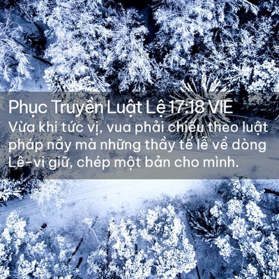 Picture 02 - Phục Truyền Luật Lệ 17:18 VIE - Vừa khi tức vị, vua phải chiếu theo - Bible Verse Picture
