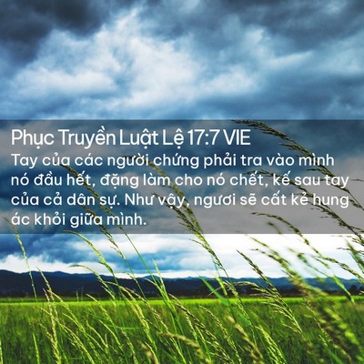 Picture 02 - Phục Truyền Luật Lệ 17:7 VIE - Tay của các người chứng phải tra vào - Bible Verse Picture