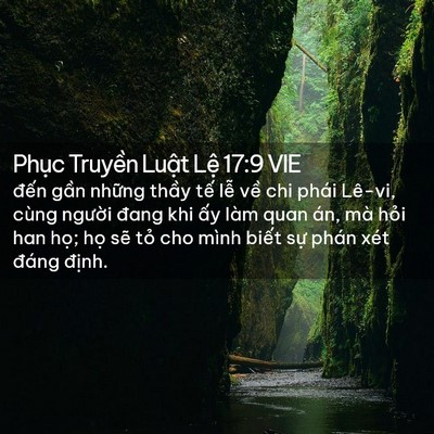 Picture 02 - Phục Truyền Luật Lệ 17:9 VIE - đến gần những thầy tế lễ về chi - Bible Verse Picture