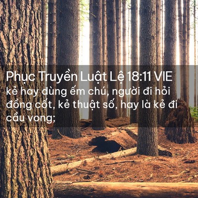 Picture 02 - Phục Truyền Luật Lệ 18:11 VIE - kẻ hay dùng ếm chú, người đi hỏi - Bible Verse Picture