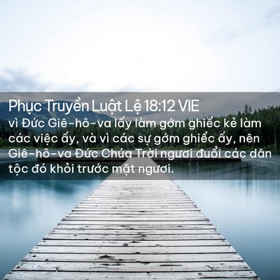 Picture 02 - Phục Truyền Luật Lệ 18:12 VIE - vì Đức Giê-hô-va lấy làm gớm ghiếc - Bible Verse Picture