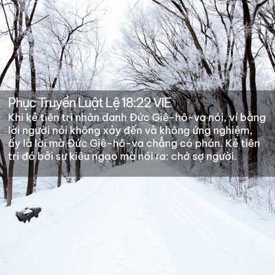 Picture 02 - Phục Truyền Luật Lệ 18:22 VIE - Khi kẻ tiên tri nhân danh Đức Giê-hô-va - Bible Verse Picture